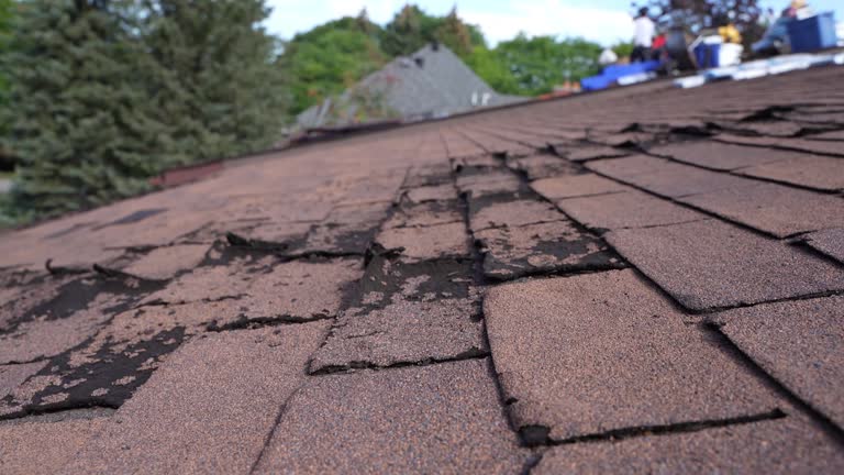 Best Emergency Roof Repair Services  in Lafayette, OR